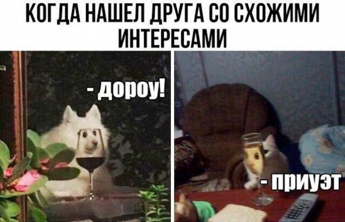 Подборка легкого юмора