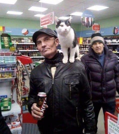 Вестник социальных сетей