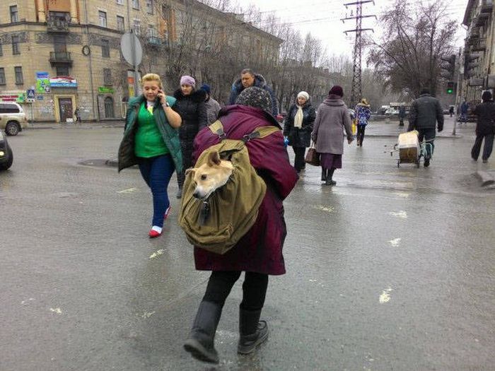 Фото, которые возможно было сделать только в России
