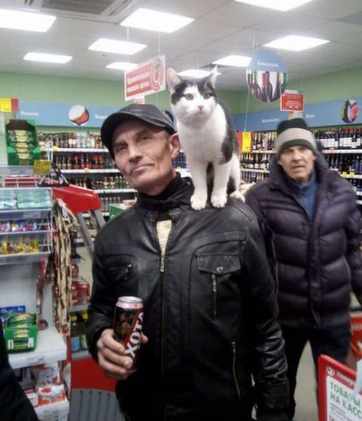 Фото, которые возможно было сделать только в России