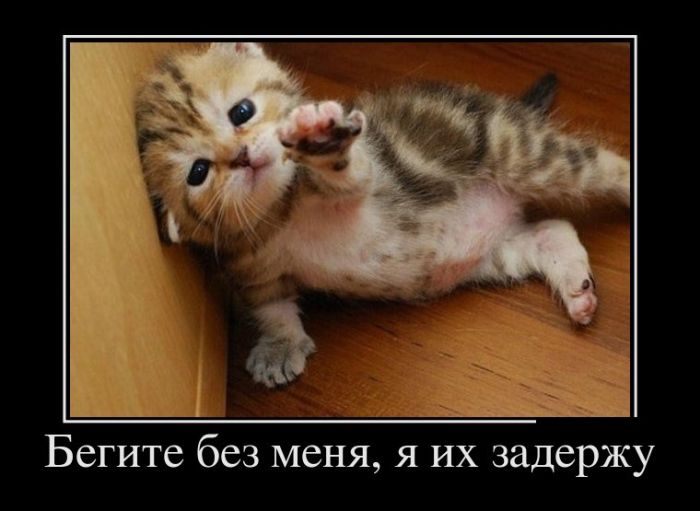 Демотиваторы