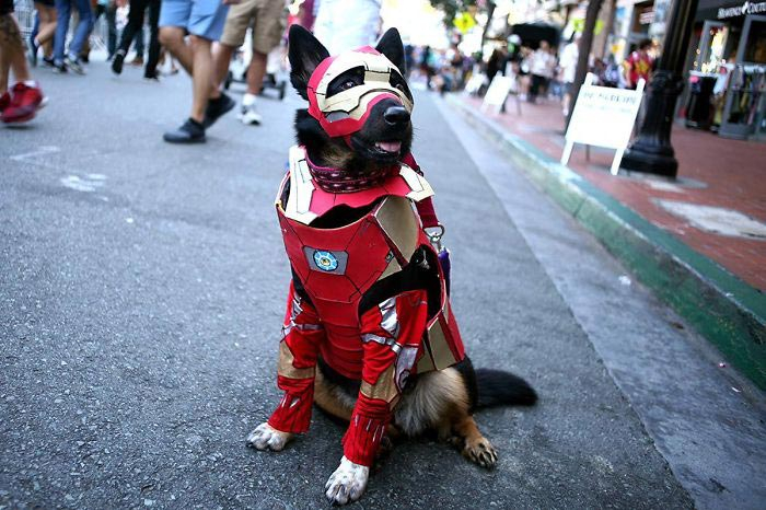 Это лучшие косплеи с Comic-Con 2018, а Дэдпул выглядит слишком реалистично