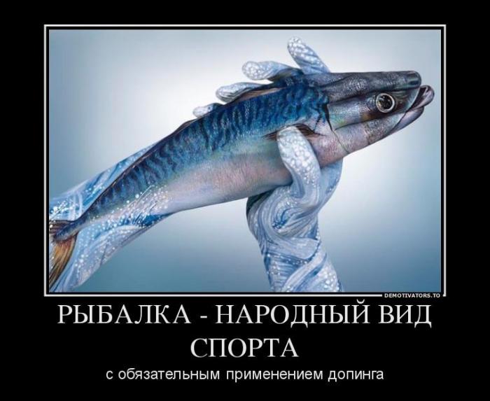 Демотиваторы (54 фото)