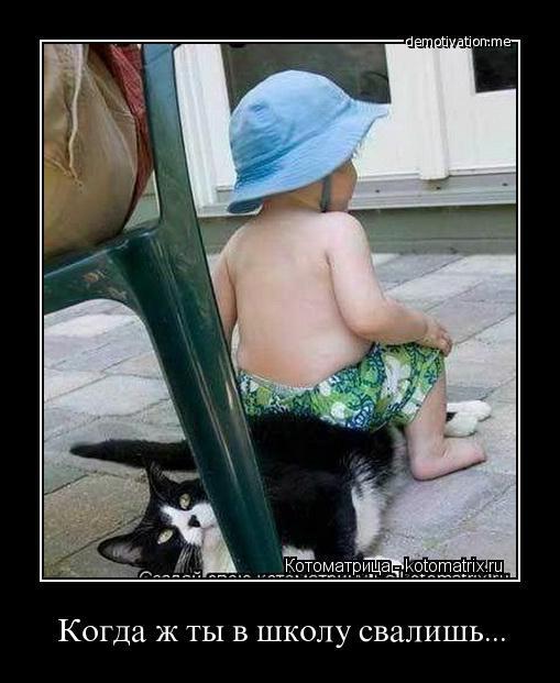 Демотиваторы (54 фото)
