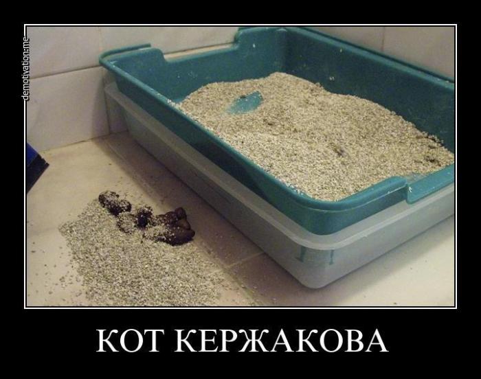 Демотиваторы (54 фото)