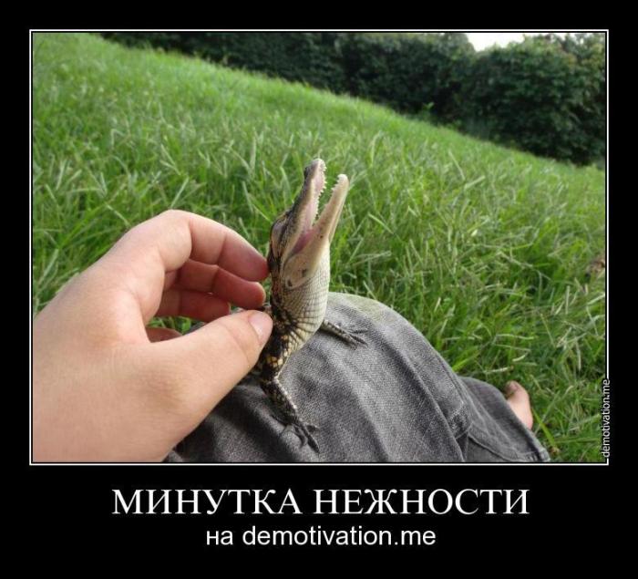 Демотиваторы (54 фото)