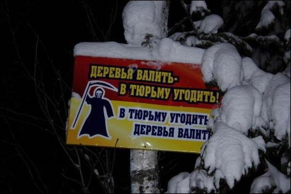 Прикольные картинки (54 фото)
