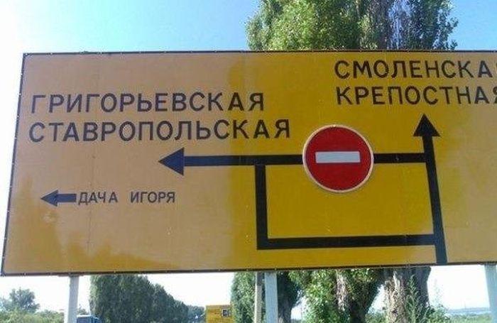 Прикольные картинки (54 фото)