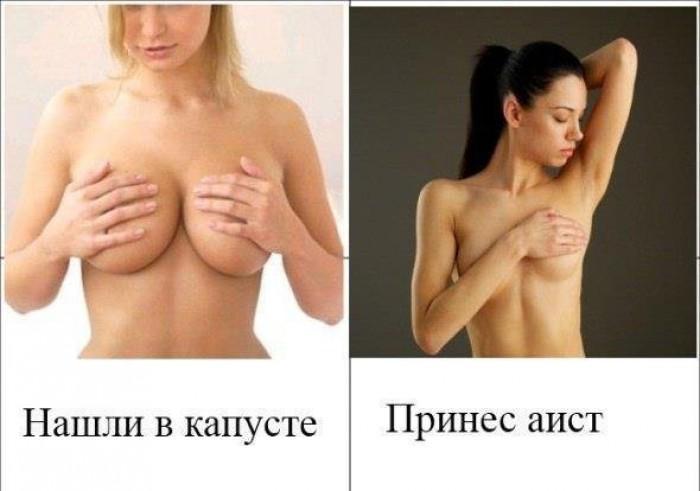 Прикольные картинки (54 фото)