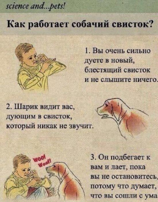 Смешные комиксы
