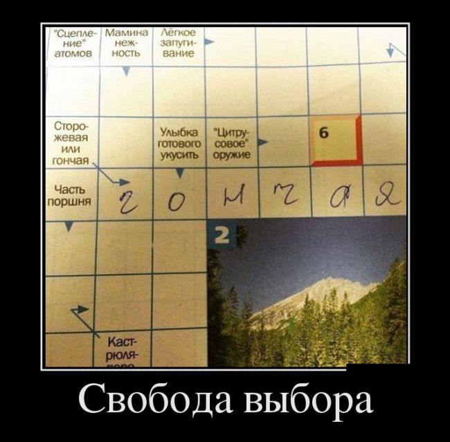 Демотиваторы