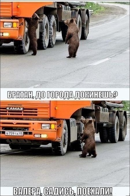 Автомобильные приколы