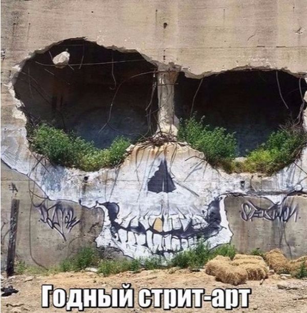 Прикольные картинки