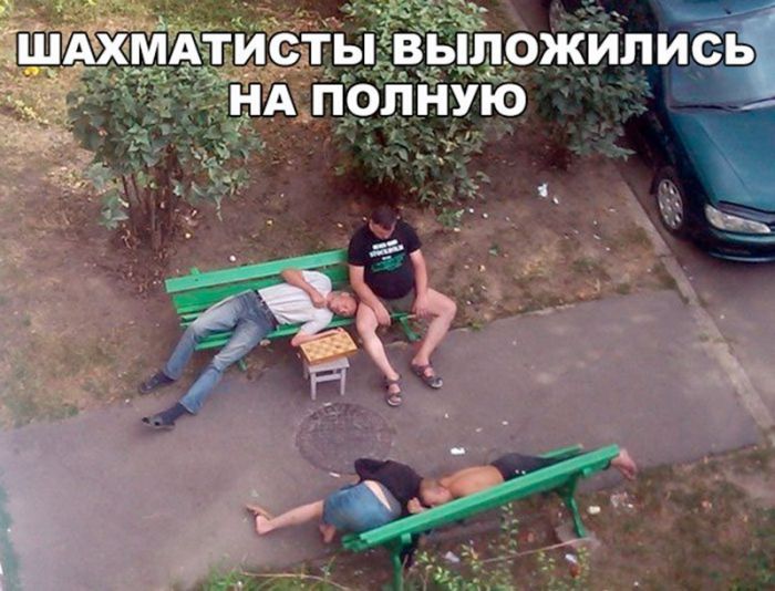 Прикольные картинки