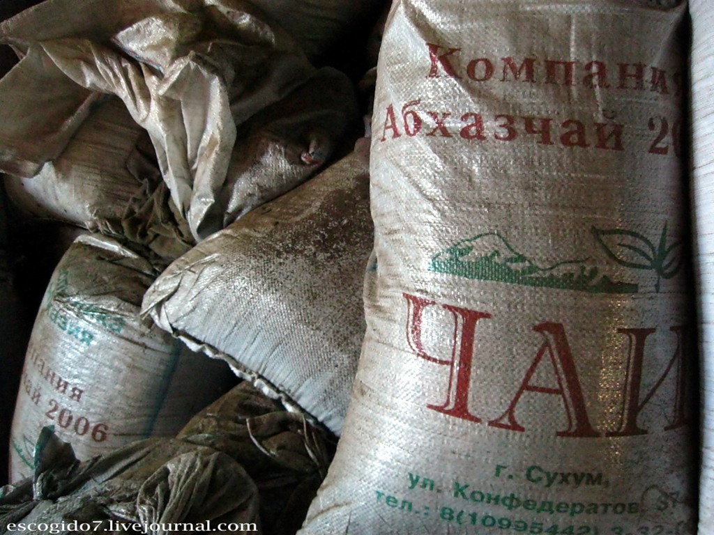 Производство чая в Абхазии