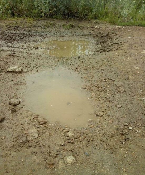В Свердловской области пенсионерки провели ремонт дороги