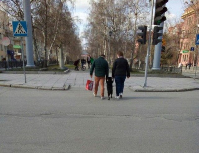 Юмор и странности с просторов нашей бескрайней