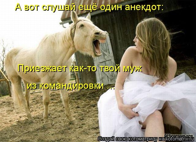 Лучшие котоматрицы недели