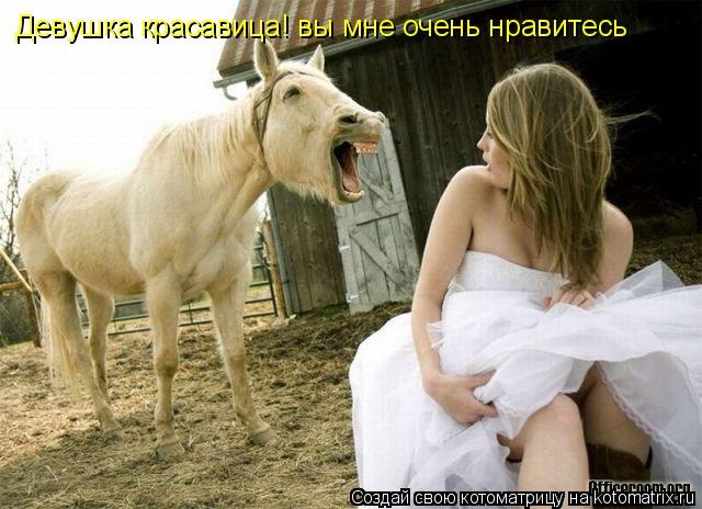 Лучшие котоматрицы недели