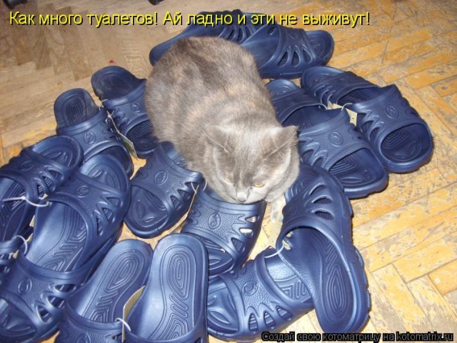 Лучшие котоматрицы недели