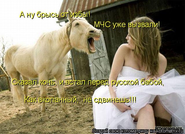 Лучшие котоматрицы недели