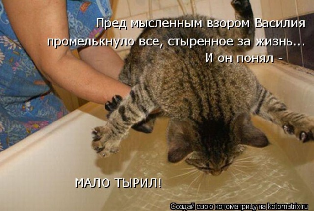 Лучшие котоматрицы недели
