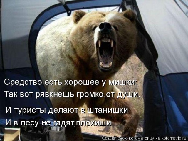 Лучшие котоматрицы недели