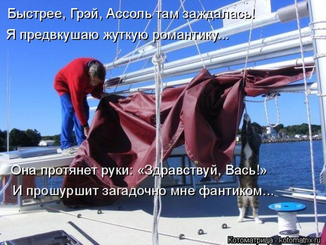 Лучшие котоматрицы недели