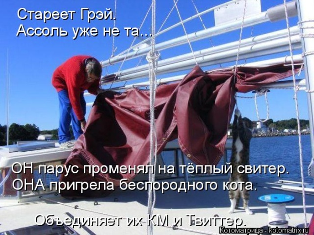 Лучшие котоматрицы недели