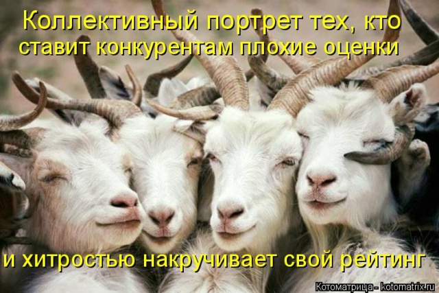 Лучшие котоматрицы недели