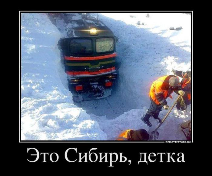 Демотиваторы (66 фото)