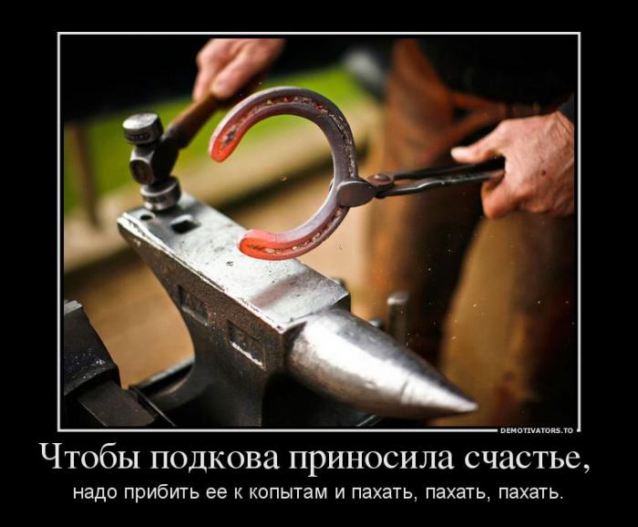 Демотиваторы (66 фото)