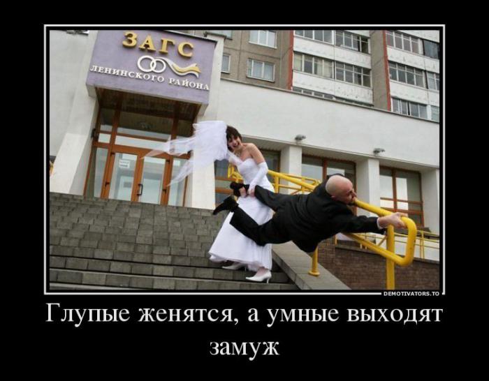 Демотиваторы (66 фото)