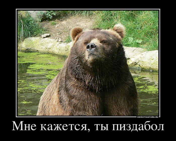 Демотиваторы (66 фото)