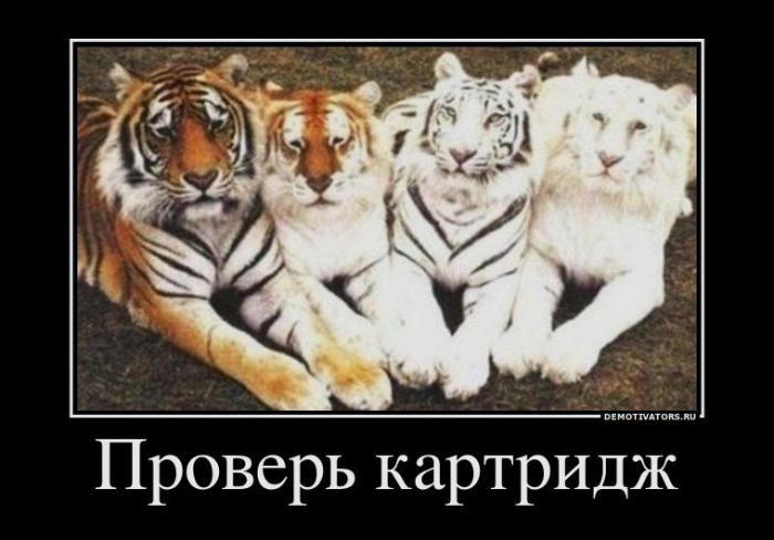 Демотиваторы (66 фото)