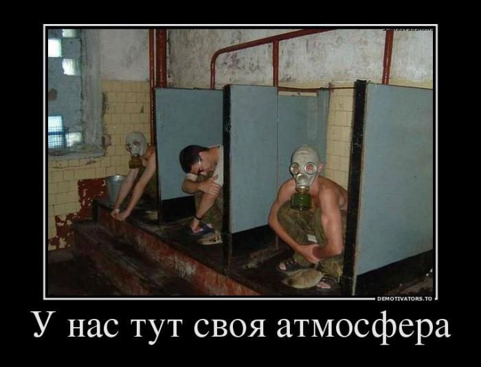 Демотиваторы (66 фото)