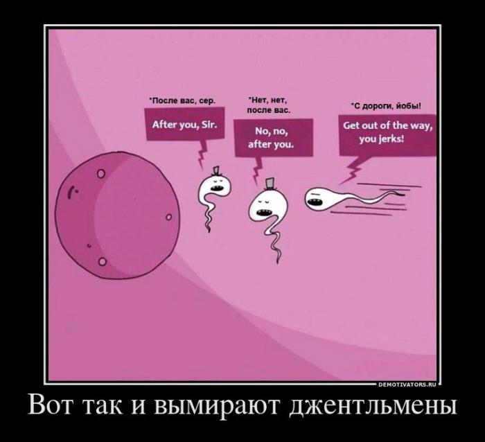 Демотиваторы (66 фото)