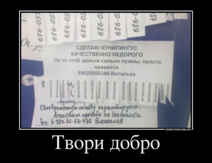 Демотиваторы (66 фото)