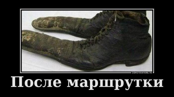 Демотиваторы (66 фото)
