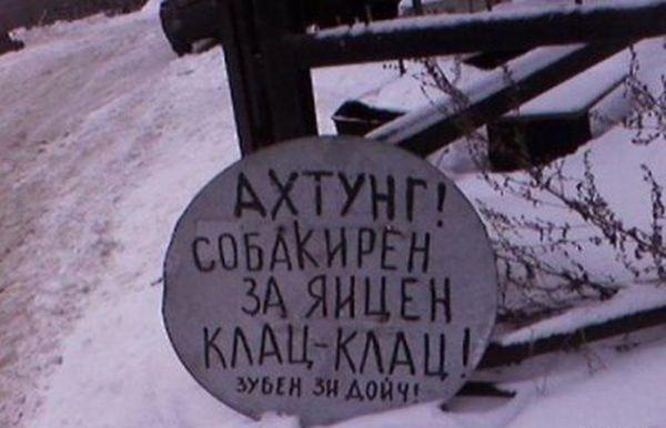 Прикольные картинки (60 фото)