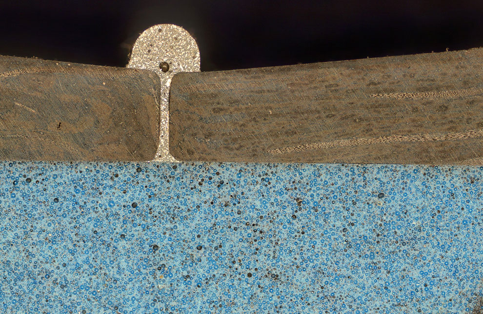 Конкурс микрофотографии Nikon Small World 2013