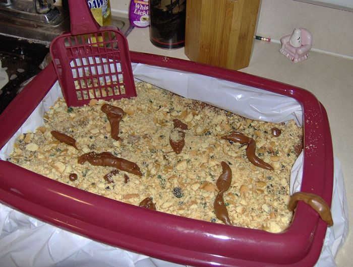 Блюда для Хэллоуина