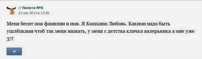 Юмор из социальных сетей