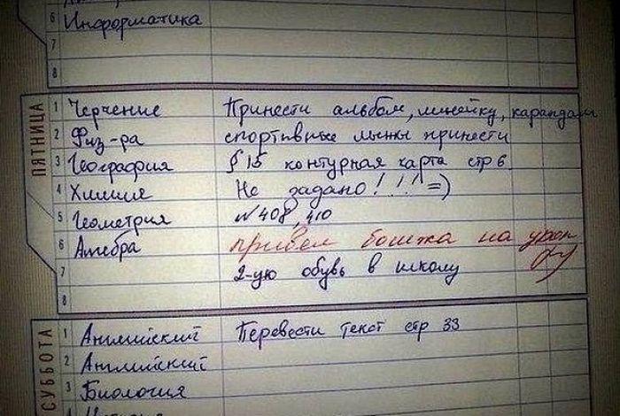 Странные замечания на страницах школьных дневников