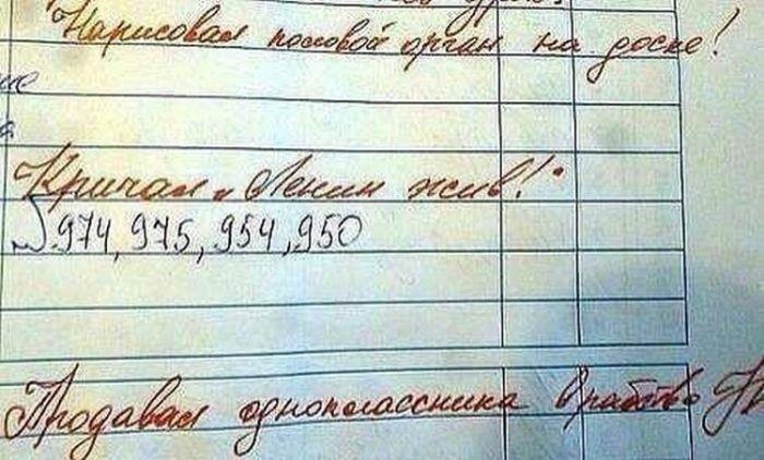 Странные замечания на страницах школьных дневников