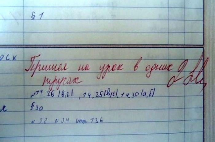 Странные замечания на страницах школьных дневников