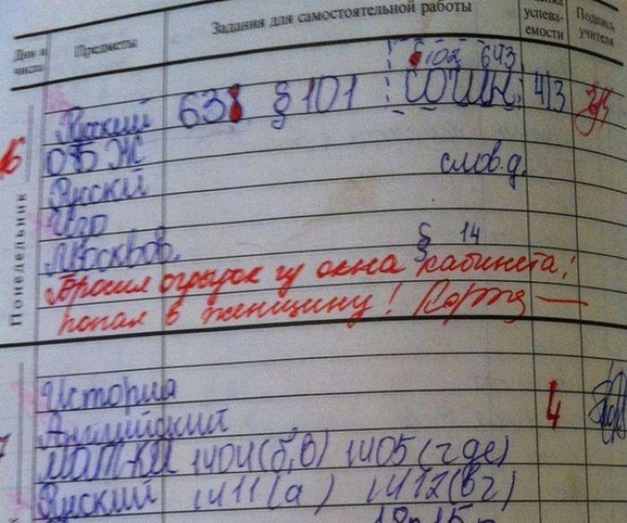 Странные замечания на страницах школьных дневников