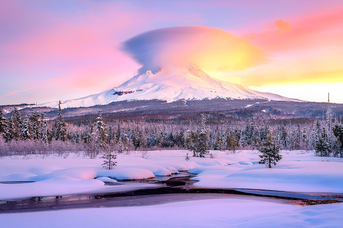 Восхитительная дикая природа в фотографиях с конкурса «Wilderness Forever»
