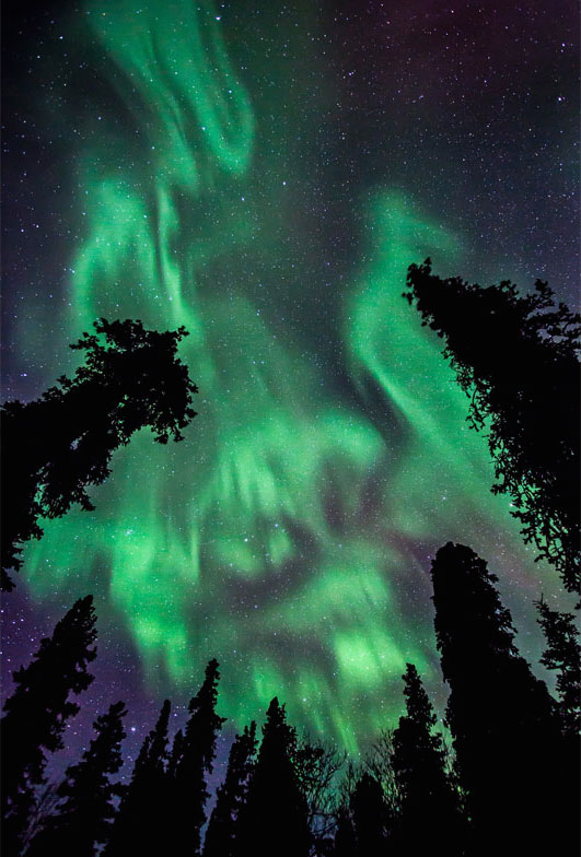 Восхитительная дикая природа в фотографиях с конкурса «Wilderness Forever»