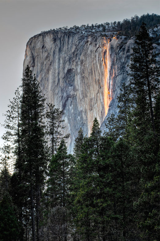 Восхитительная дикая природа в фотографиях с конкурса «Wilderness Forever»